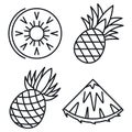 Exotic pineapple icons set, outline style