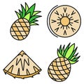 Exotic pineapple icons set vector color