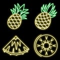 Exotic pineapple icons set vector neon