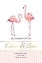 Exotic pink flamingo birds couple wedding invite Royalty Free Stock Photo