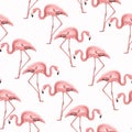 Exotic pink flamingo birds stride seamless pattern