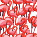 Exotic pink flamingo wading birds flamboyance colony regiment seamless pattern