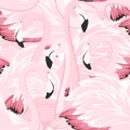 Exotic pink flamingos flamboyance seamless pattern