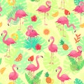 Exotic pink flamingos, tropical plants and jungle flowers monstera and palm leaves. Tropic flamingo cartoon seamless vector Royalty Free Stock Photo