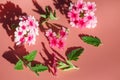 Exotic pink tiny flowers, twigs and leaves. Delicate summer flourish on a light pink background