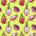 Exotic pitaya wild frukt pattern in a watercolor style.