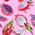 Exotic pitaya wild frukt pattern in a watercolor style.