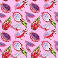 Exotic pitaya wild frukt pattern in a watercolor style.