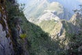 Exotic plants cling to a sheer cliff face Royalty Free Stock Photo