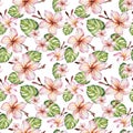 Exotic plumeria flowers and green monstera leaves in seamless tropical pattern. White background. Watercolor painting. Royalty Free Stock Photo