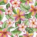 Exotic plumeria flowers and green monstera leaves on white background. Seamless tropical pattern in vivid colors. Royalty Free Stock Photo