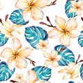 Exotic plumeria flowers and green monstera leaves on white background in seamless tropical pattern. Watercolor painting. Royalty Free Stock Photo