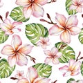 Exotic plumeria flowers and green monstera leaves on white background. Seamless tropical pattern. Watercolor painting.