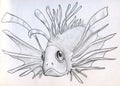 Exotic poisonous fish sketch