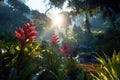 exotic rainforest flowers opening up at sunrise