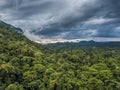 Exotic rainforest landscape from gunung mulu national park borneo malaysia