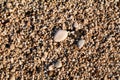 Exotic rocky beach with colorful stones. Texture, material, pattern, background, wallpaper of small multicolored rock sand stone Royalty Free Stock Photo