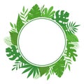 Exotic round tropical frame with banana leaves, monstera and palm leaves