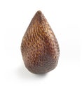 Exotic Salak Palm Fruit on White Background