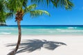 Exotic sandy beach with coco palm and turquoise sea.