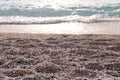 Exotic sandy beach, tropical blue mediterranean sea with waves and sea foam. Beautiful natural environment, panorama, landscape.