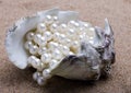 The exotic sea shell with a pearl beads lies Royalty Free Stock Photo