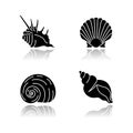 Exotic sea shells drop shadow black glyph icons set Royalty Free Stock Photo