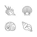 Exotic sea shells pixel perfect linear icons set Royalty Free Stock Photo