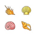 Exotic sea shells RGB color icons set Royalty Free Stock Photo