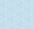 Exotic seamless pattern. Blue symmetrical