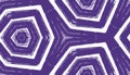 Exotic seamless pattern. Purple symmetrical