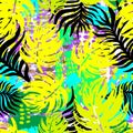 Exotic seamless tropical pattern. Royalty Free Stock Photo