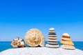 Exotic shells on the sea and blue sky background. Space for text