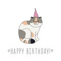 Exotic shorthair cat Happy Birthday doodle greeting card.