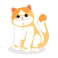 Exotic shorthair cat, sitting isolated. little sweet kitty. background vector illustration