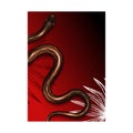 Exotic Snakes Terrarium Advertising Banner Vector Illustration Royalty Free Stock Photo