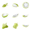 Exotic soursop icon set, cartoon style