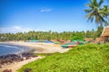 Arabian sea in Kerala and Goa, painted boats, palm trees and san