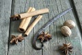 Exotic spices vanilla, nutmeg, star anise Royalty Free Stock Photo