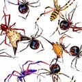 Exotic spiders wild insect in a watercolor style. Seamless background pattern.