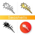 Exotic spiked sea shell icon Royalty Free Stock Photo