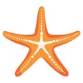 exotic starfish sealife Royalty Free Stock Photo