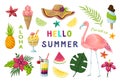 Exotic stickers. Cute summer tropical elements, flamingo fruits cocktails flowers leaves scrapbook collection. Vector