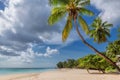 Exotic Sunny beach and coconut palms on Beau Vallon beach, Seychelles. Royalty Free Stock Photo