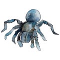 Exotic tarantula wild insect in a watercolor style isolated.