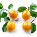 Exotic taste sweet and sour Marian plum with leaves