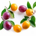 Exotic taste sweet and sour Marian plum with leaves