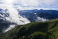 Exotic tea plantation hill scenery at morning Royalty Free Stock Photo