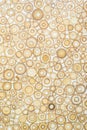 Exotic texture pattern of bamboo cross section filled with hardening enamel Royalty Free Stock Photo