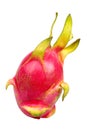 Exotic Thai Fruit. Dragon fruit - Geow Mangon Royalty Free Stock Photo